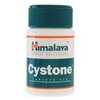 support-order-cs-Cystone